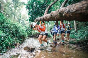 BIB: 
                            <button type="button" onclick="openModal(25374393)" class="btn btn-primary btn-sm float-right btn-popup" data-toggle="modal" data-target=".modal-high-quality">
                        <i class="fas fa-shopping-cart"></i> Add to Cart
                    </button>
                                            <button type="button" onclick="isThisMe(25374393, true)" class="btn btn-success btn-sm float-right btn-popup btn-isme hidden" data-toggle="tooltip" data-placement="bottom" title="นี่คือรูปของคุณใช่ไหม คลิกที่นี่เพื่อเอาเข้าอัลบั้ม">
                        <i class="fas fa-plus"></i> Add to album
                    </button>
                    <button type="button" onclick="isThisMe(25374393, false)" class="btn btn-warning btn-sm float-right btn-popup btn-isnotme hidden">
                        <i class="fas fa-ban"></i> Remove from album
                    </button>